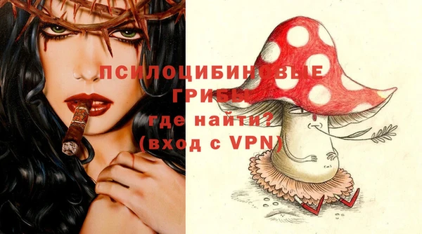соль ск Нея