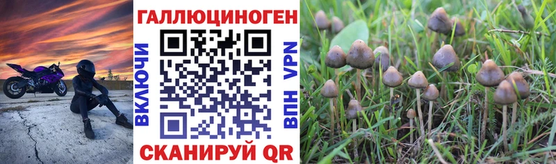 Галлюциногенные грибы Psilocybine cubensis  shop Telegram  Макушино 